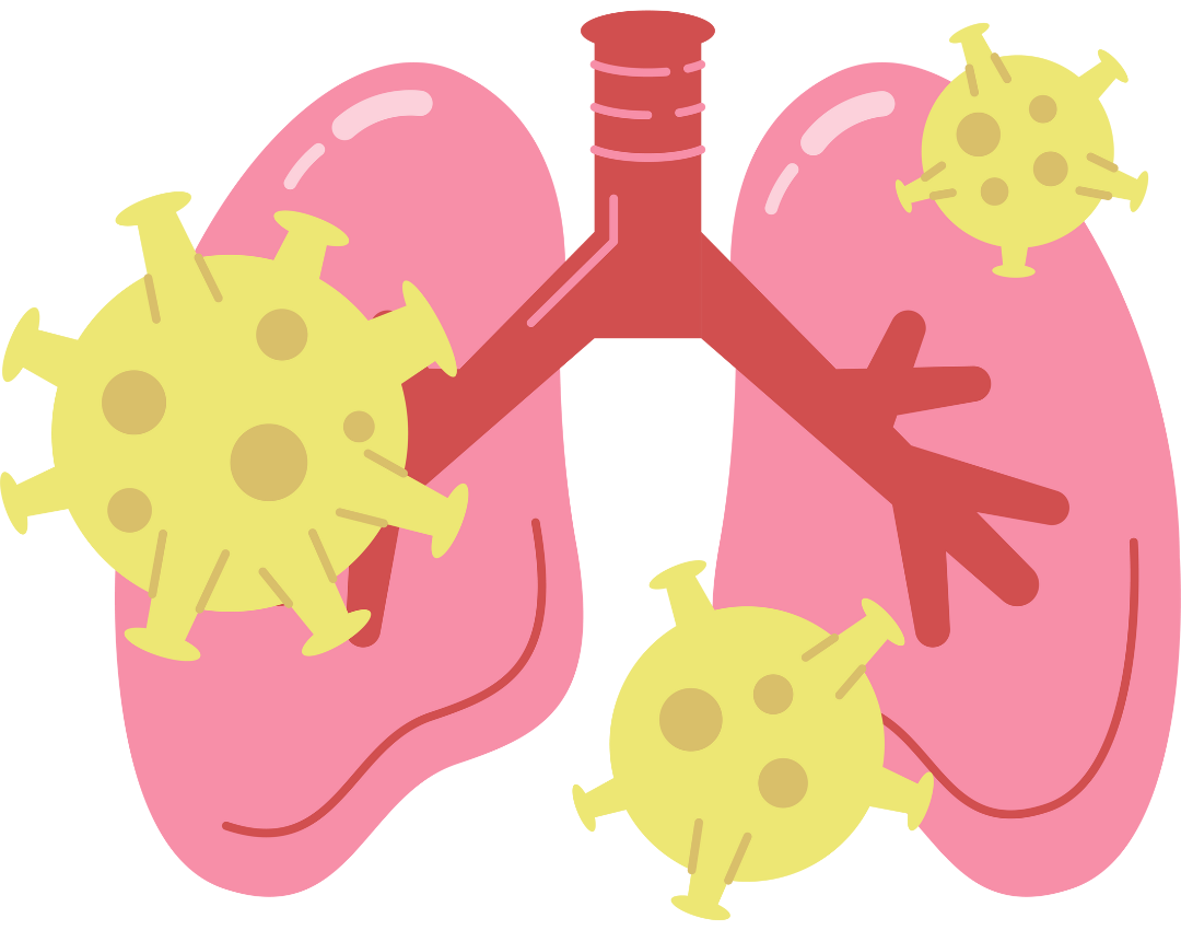 copd-mold and bacteria in lungs